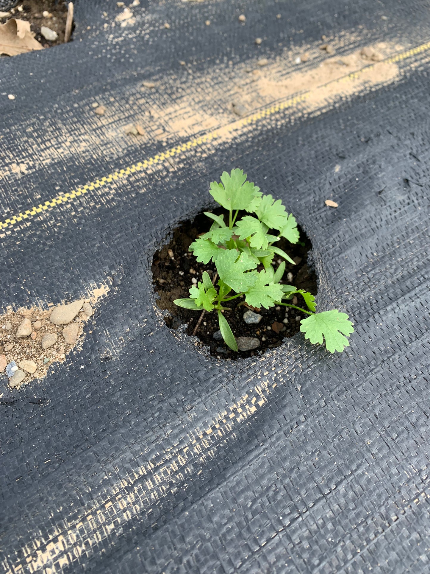 Farm To Home Workshop