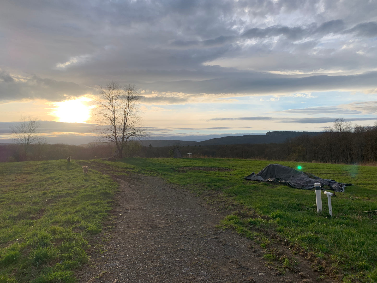 Camp On The Farm