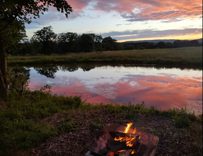 Camp On The Farm