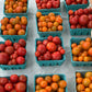 Farm To Home Workshop
